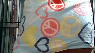 Fernandahi webcam show 2020-02-04_02-26-00_544