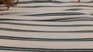 Tigerkittybabe webcam show 2020-01-27_12-03-53_657