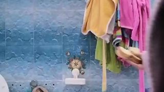 Pocellina81 webcam show 2020-02-05_14-49-20_183