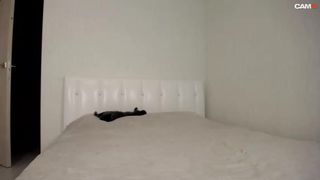 Jerryreid webcam show 2020-01-29_11-35-41_631