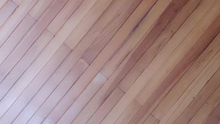 Metalrou webcam show 2020-02-03_16-52-21_836