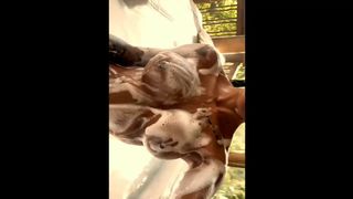 Julianacandy Jacuzzi (short video)