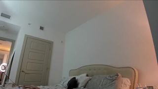 surecakes 2020-02-11