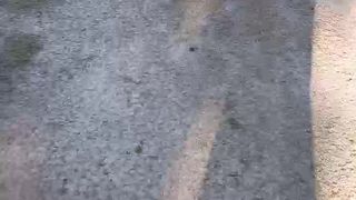 Sensualtania webcam show 2020-01-26_16-36-37_629