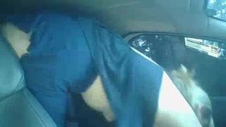 docehot car 080318
