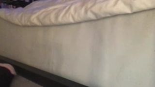 Lexivixi 1 2
