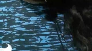 Morenajanmbo webcam show 2020-02-11_21-50-44_720