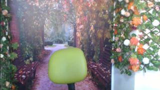 Sharon3horn3 webcam show 2020-02-05_13-09-21_439