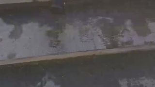 Sensualtania webcam show 2020-01-26_15-52-58_391