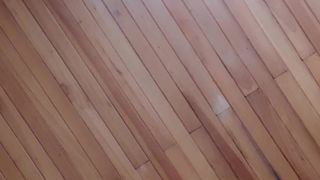 Metalrou webcam show 2020-02-07_22-00-03_685