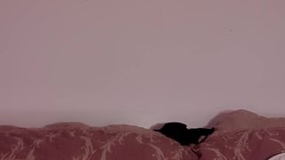 Lovecock2196 webcam show 2020-01-28_14-59-04_410