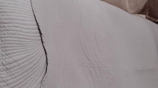 Hotolgaxxx webcam show 2020-02-04_19-08-11_952