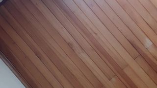 Metalrou webcam show 2020-02-11_19-26-32_478