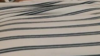 Tigerkittybabe webcam show 2020-01-27_12-57-21_692