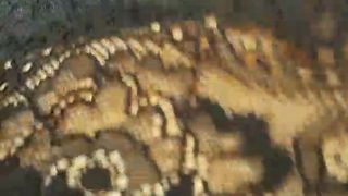 Intrigante66 webcam show 2020-01-27_15-32-41_993