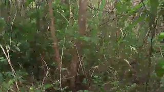 Loirasexxxx1 webcam show 2020-02-03_14-25-26_869