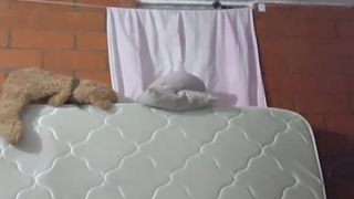 _arixxx_ webcam show 2020-02-05_03-13-24_802