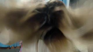 Sharon3horn3 webcam show 2020-01-27_04-27-37_212