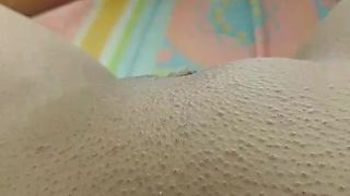 Sunnygray webcam show 2020-01-29_17-26-47_543