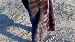 Hotolgaxxx webcam show 2020-02-16_14-36-12_234