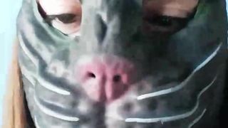 Arteria_ webcam show 2020-02-23_10-58-05_829