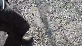 Intrigante66 webcam show 2020-02-23_14-43-42_730