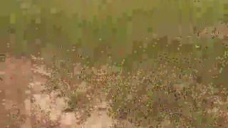 Loirasexxxx1 webcam show 2020-02-14_15-27-36_446