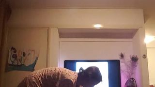 Tonyta_jameson webcam show 2020-02-23_23-25-57_877