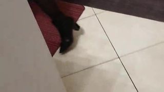 Intrigante66 webcam show 2020-02-22_17-58-30_126