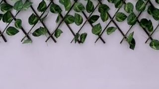 Zoeadams_ webcam show 2020-02-20_19-29-31_172