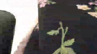 Intrigante66 webcam show 2020-02-14_14-35-07_930