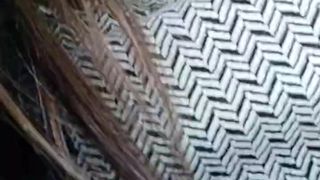 Angelica_hot webcam show 2020-02-17_13-40-08_035