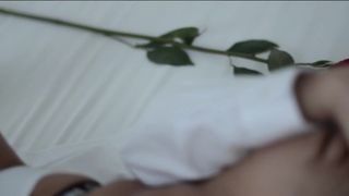 Irisblues 40