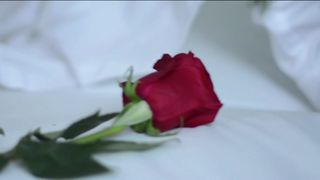 Irisblues 40