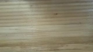 True_vega webcam show 2020-02-27_16-23-27_403