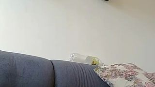 Dandarababyy webcam show 2020-02-27_20-20-56_283