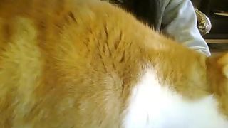 Luxxuriax webcam show 2020-02-26_08-48-02_894