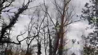 Fauvesexy webcam show 2020-02-25_14-39-44_766