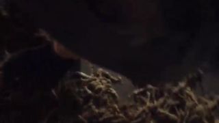 Yasminayangel webcam show 2020-02-25_21-06-37_188