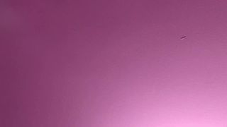 True_vega webcam show 2020-02-27_17-31-41_786