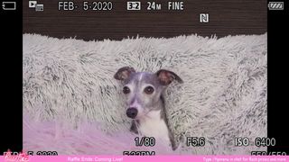 BlazeFyre _February-29-2020_ Cam Show pt 1