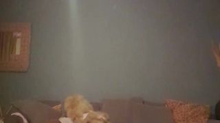 Tonyta_jameson webcam show 2020-03-02_23-00-40_467