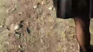 Intrigante66 webcam show 2020-03-04_16-05-39_387