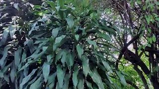 Candacexxhot webcam show 2020-03-04_22-01-20_297