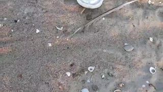 Hotolgaxxx webcam show 2020-03-05_15-35-15_968