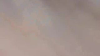 Pepais webcam show 2020-03-01_10-48-13_528