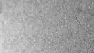 Intrigante66 webcam show 2020-03-04_16-39-43_166