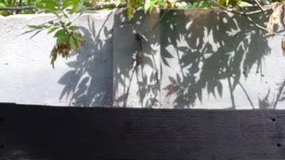 Little_mia webcam show 2020-02-29_14-45-39_350