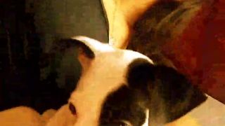 Bianca0202 webcam show 2020-03-01_00-31-56_121