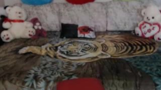 littlepups slow motion pleasure in private premium video 2016-09-11